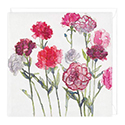 Card Carnations